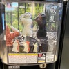 【ガチャ活】【敬礼 猫 弐礼 株式会社エール 全5種】どうしても黒猫が欲しかったのです
