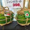 巨大スイカにビックリ♬