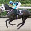 廃止重賞優勝馬の末裔に声援を