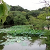 8月最後の週末は・・・