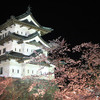 【2026年】弘前城桜まつりと「令和の曳戻し」前夜：日本一の桜を支える管理技術と石垣修理の現在地