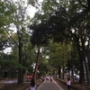 （妹の）成人式の前撮りに氷川神社へ行ってきたおはなし。