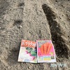 【連作混植栽培】大根･人参を仲良く育てよう！2024秋植え