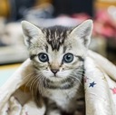 健康に暮らす方法を伝えるブログ