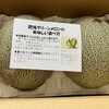 【利回り2.01％】ベルグアース（1383）から株主優待！優待で絶品『肥後グリーンメロン』