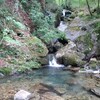 自然との調和：板取川支流での渓流釣り