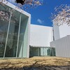 青森県　十和田市現代美術館　様々なアートと出会えるインスタ映えな美術館