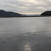 サボりました