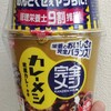 【完全カレーメシ】食べたけども正直な感想！！