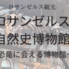 【ロサンゼルス観光】ロサンゼルス自然史博物館　～恐竜に会える博物館～