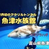 富山県魚津市『魚津水族館』‐　見やすさを徹底追及した日本最古の水族館