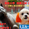 鳥取大学　鳥取環境大学　オープンキャンパス　前期試験　推薦入試　アパート　無料合格前予約　予約受付中！
