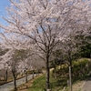 常陸風土記の丘に行ってきました・。・ｖ