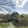 春の苗木城跡　【ベスト the 山城 in 中津川】