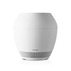 【アメトーク】BALMUDAの加湿器「Rain」のお取り寄せ！家電芸人2025【12月30日】