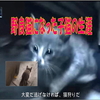 野良猫になった子猫の生涯