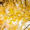 〖夫婦〗狭い家に満足したい