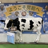 北東パスで行く関東近郊旅～＃14内房線のエキタグ設置駅を巡る旅がはじまる～