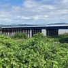 完成した川島大橋歩行者用仮橋へ行ってきました