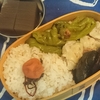 打倒病気弁当