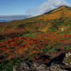2021年10月3日、東北・栗駒山の紅葉写真