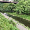 5月19日(月)秩父フライフィールドの河川情報