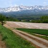 かみふらの八景