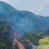 池地区のメダカの池（静岡県伊東）