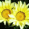 Geminiがパワーアップしている