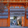 朝の散歩です　その2