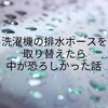 洗濯機の排水ホースを取り替えたら中が恐ろしかった話