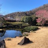 裏高尾　梅郷の梅はこれから