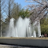 百十郎桜は葉桜。でも相変わらず地元は落ち着く。