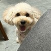 笑顔のショコラ💞