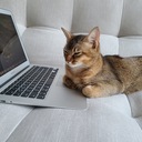 るもーめんと