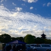 6月の水の森公園