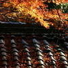 晩　秋　　１　　普門寺　(豊橋市）