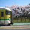 新潟遠征なので桜満開の新潟を旅行してきました