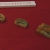 「広島の遺跡を掘る」3　古代佐伯郡と役人