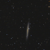 おとめ座銀河NGC4517