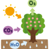 【コラム】植物にCO2を吸収させても食べてしまったら総量は同じ屁のような話