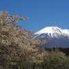一休山　朝霧高原