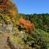 八草峠　八草林道　滋賀県側　２０１７＋チェリオ地蔵