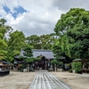 【杭全神社】鎮守の森に優しい雨とアゲハ蝶