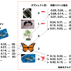  3日で作る高速特定物体認識システム (6) 線形探索を用いた特定物体認識