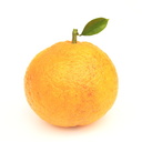 なつみかん部屋( 🍊 '-' )≡🍊ｵﾐｶﾝﾊﾟﾝﾁ
