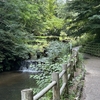 某山麓公園は夏を迎えて緑濃くなってきました。日差しのきつさはこれからですね。