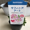 春は温度が読めなくて苦手〜 今月のネイル〜