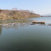 丹生湖の下見