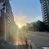 揺籃